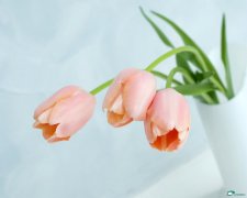 早泄要如何预防