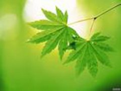 呼和浩特治疗前列腺疾病哪家好
