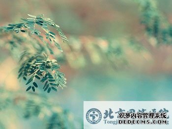年轻人的阳痿大多是假阳痿